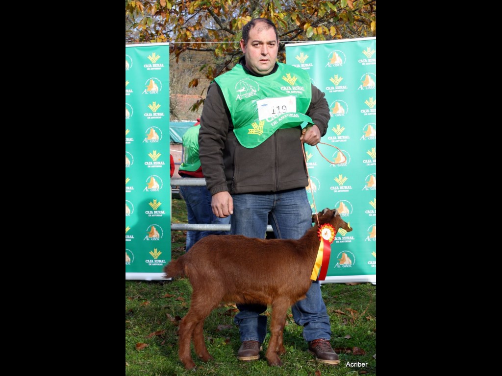 Sección 1ª Cabritas - 1º puesto Pitufa de los Fuellos (Pablo Fernandez Rivas)