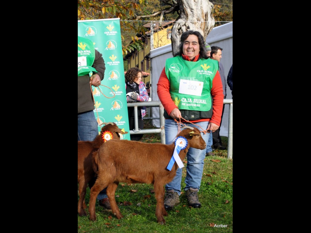 Sección 1ª Cabritas - 2º puesto Cría II Valle Roncadas (Angel Fernández Muñiz)