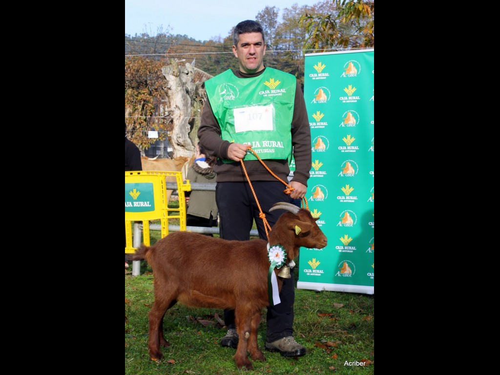 Sección 1ª Cabritas - 3º puesto Sandra de la Boquetina (Inmaculada Pérez Alvarez