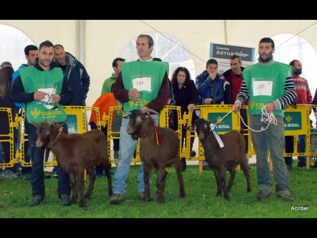 Seccion 2 Cabritos - 1º (Fernando Quirós) - 2º EROS (Jesús Alvarez) - 3º ARES (J