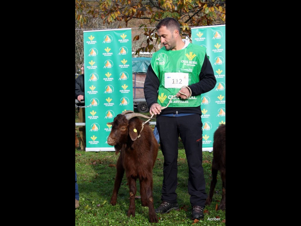 Sección 2ª Cabritos - 1º puesto Eclipse (José Manuel Vallina Valdés)