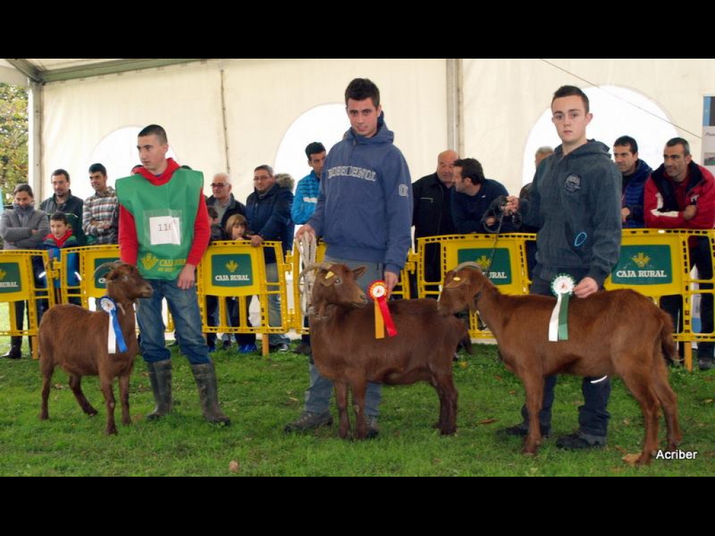 Seccion 3 Igüedas - 1º JOCOSA (Cesaria Hevia) - 2º (Marcos Fdez. Gutiérrez) - 3º
