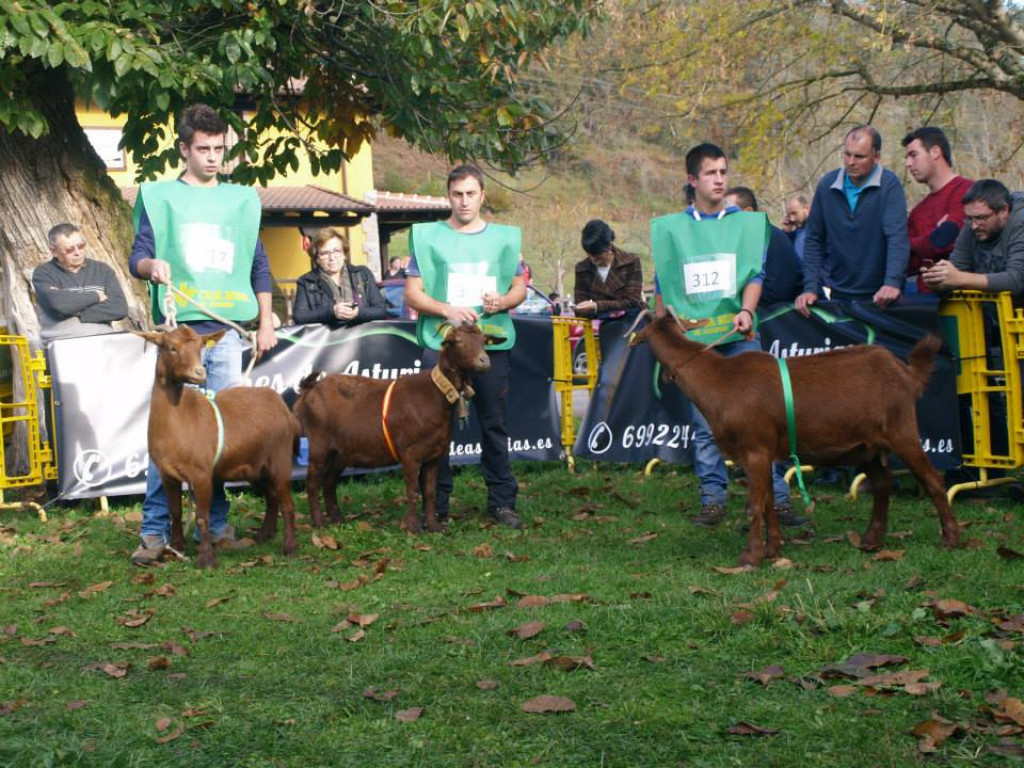 Sección 3 Igüedas - 1º VALLINA (José M. Vallina) - 2º CONDADA (Cesaria Hevia) - 