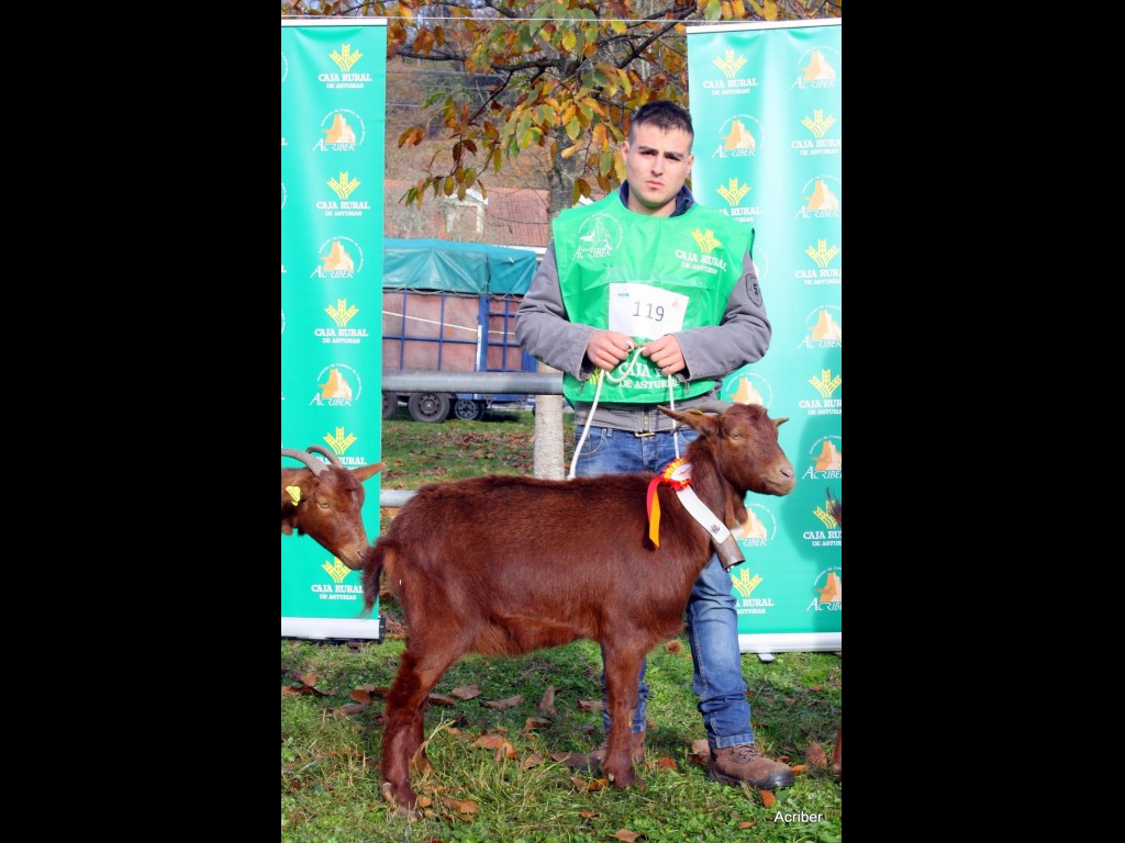 Sección 3ª Igüedas - 1º puesto Dora de los Fuellos (Pablo Fernández Rivas)