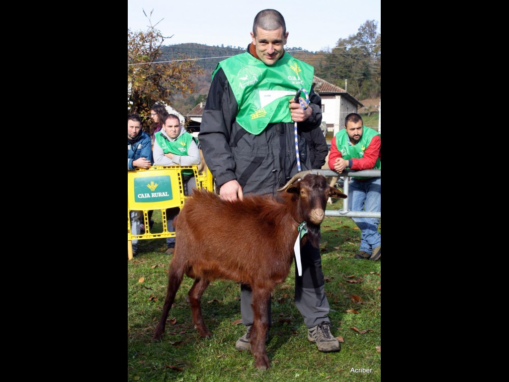 Sección 4ª Igüedos - 3º puesto Cóndor del Norte (Esteban Muñiz García)