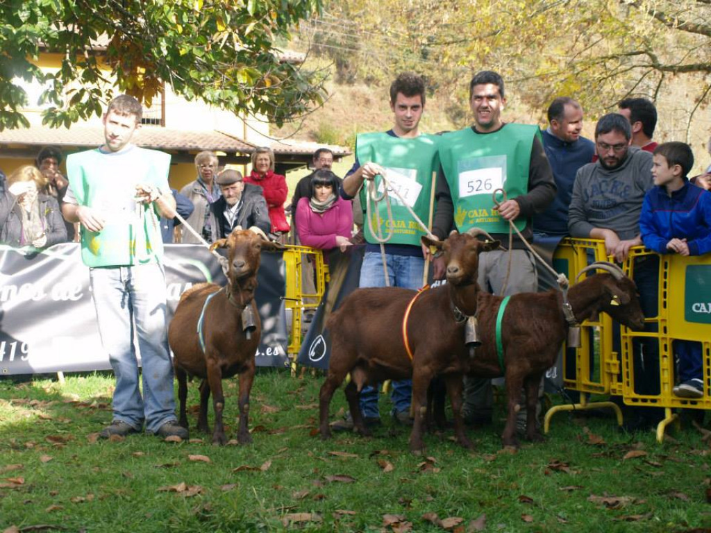 Sección 5 Cabra Intermedia - 1º y 2º (Cesaria Hevia) 3º LARA (Inmaculada Pérez)