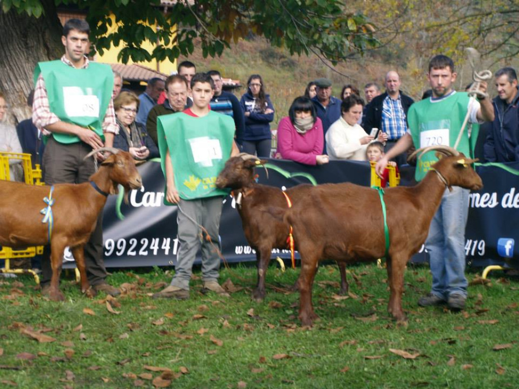 Sección 7 Cabra Adulta - 1º BEYUSCA (José Angel Moriñigo) - 2º LECHERA (José Lóp