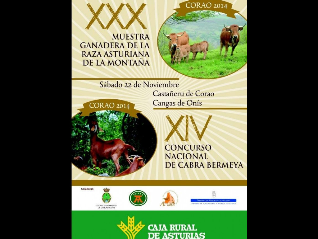XIV Concurso Nacional Corao (Cangas) 2014