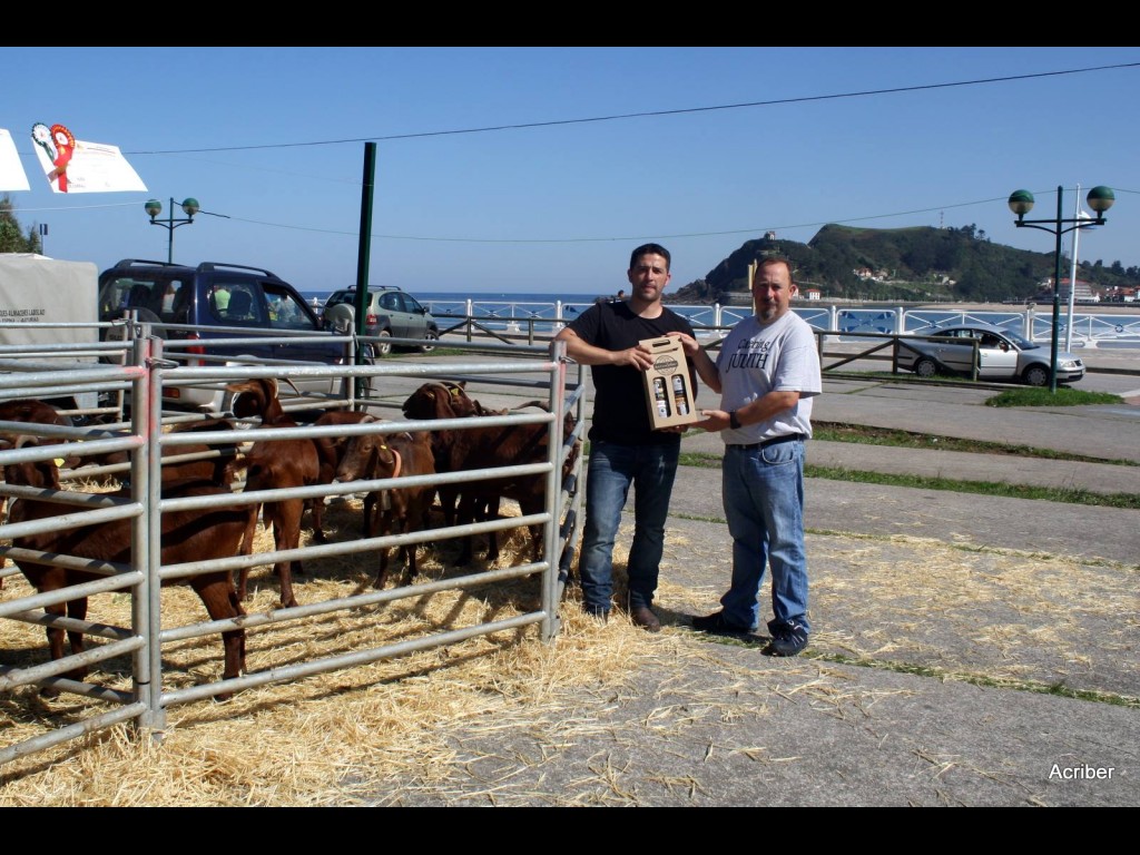 Premio Mejor Lote - Bermeyas Pico La Era (Jairo García)