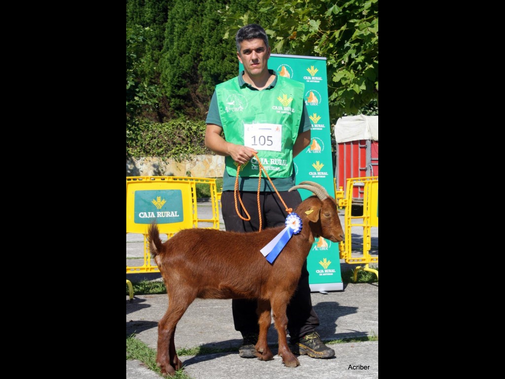 Seccion 3ª Igüedas - 2º puesto Galerna de la Boquetina (Inmaculada Pérez)