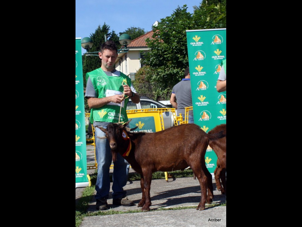 Seccion 4ª Igüedos - 1º puesto Corchito (Cesaria Hevia)