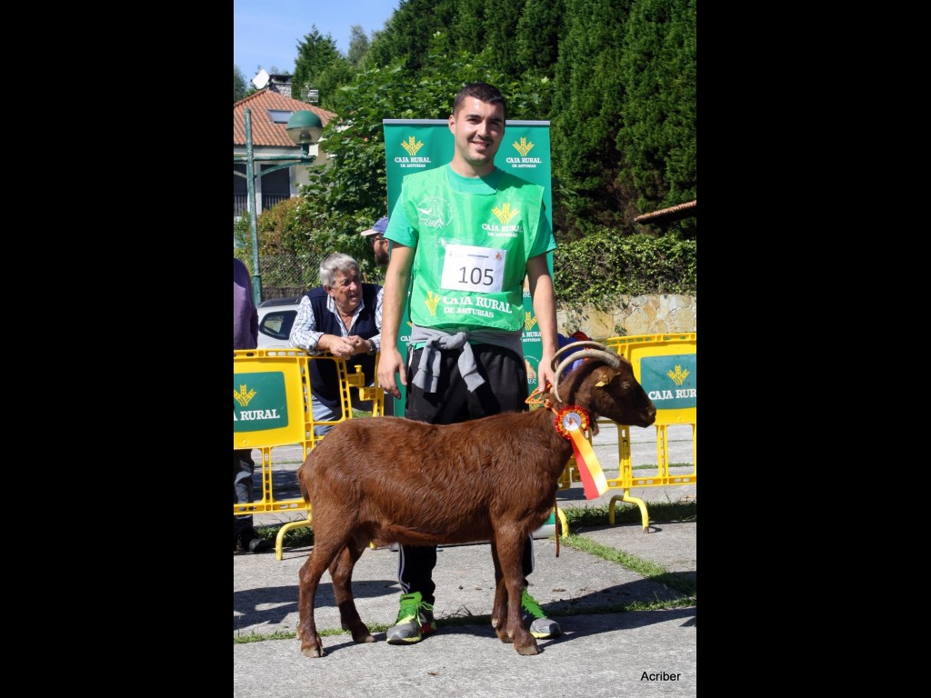 Sección 5ª Cabras - 1º puesto Lara de la Boquetina (Inmaculada Pérez)