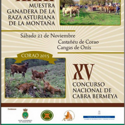 XV Concurso Nacional Corao (Cangas de Onís) 2015