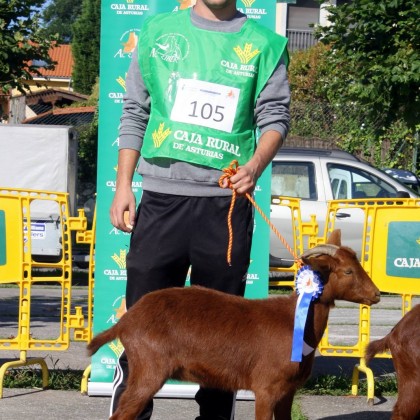 Seccion 1ª Cabritas - 2º puesto Sandrina de la Boquetina (Inmaculada Pérez)