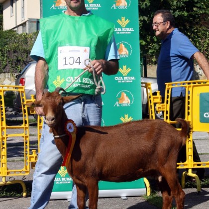 Seccion 3ª Igüedas - 1º puesto Reina (Fernando Quirós)