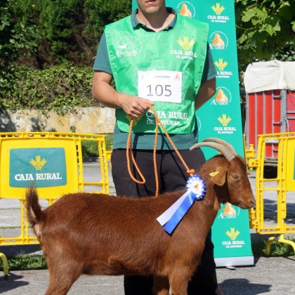 Seccion 3ª Igüedas - 2º puesto Galerna de la Boquetina (Inmaculada Pérez)