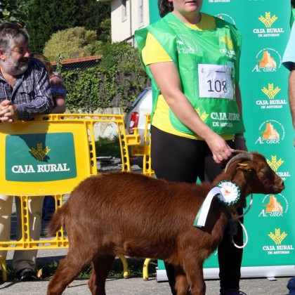 Seccion 3ª Igüedas - 3º puesto Ardilla (Ernesto Peri)