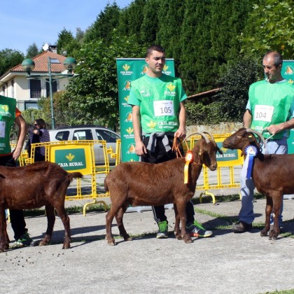 Sección 5ª Cabras - Finalistas