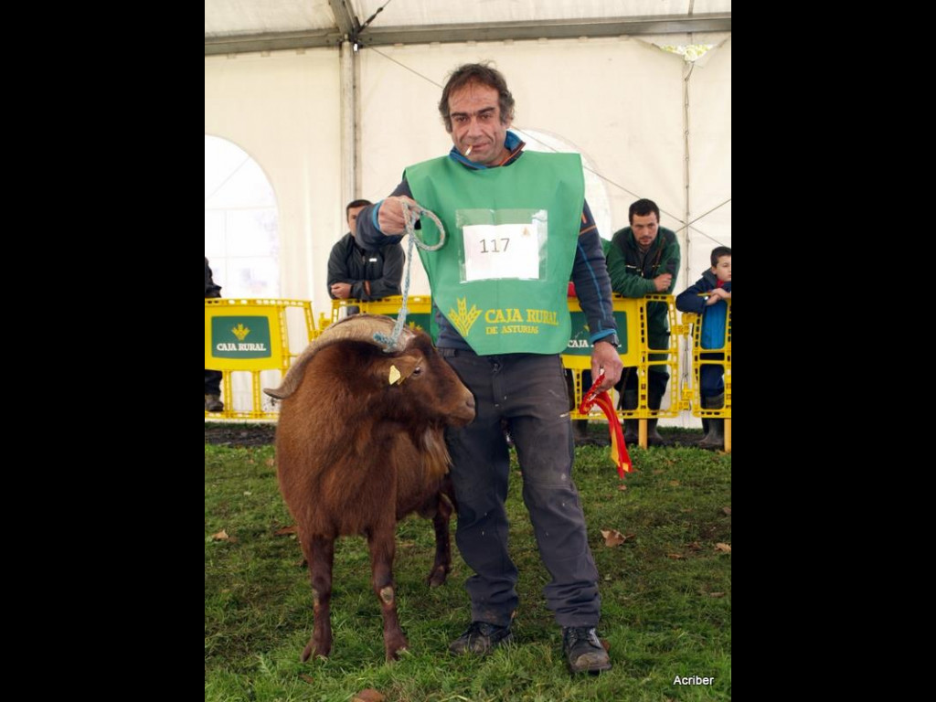 Campeón Nacional Ares