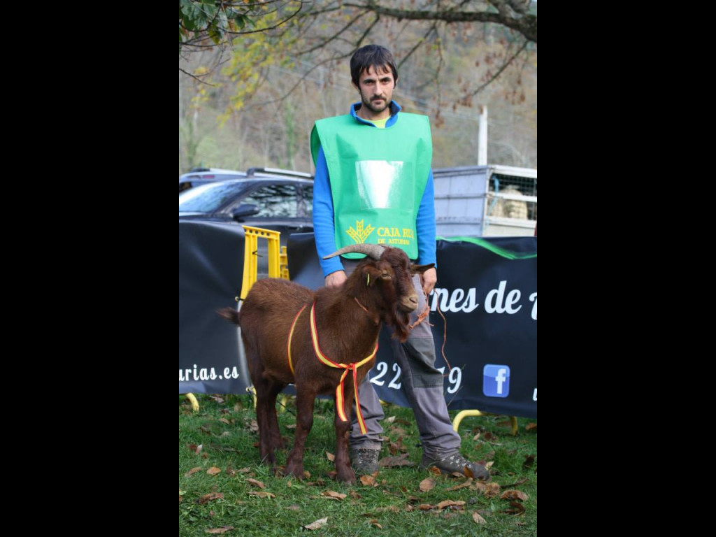 Campeón Nacional Joven MORI (José Angel Moriñigo)