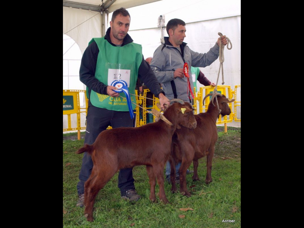 Campeona Joven Nacional JOCOSA (Cesaria Hevia) - Subcampeona BAMBINA (José Manue