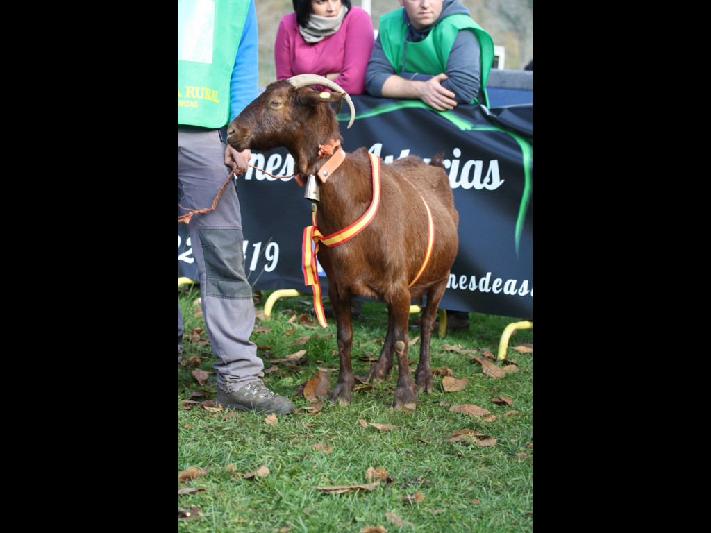 Campeona Nacional BEYUSCA (José Angel Moriñigo)