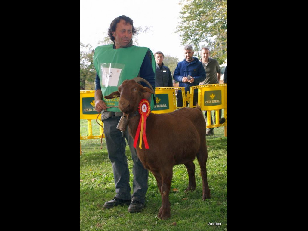 Campeona Nacional BRILLANTE (Angel Fdez. Muñiz)