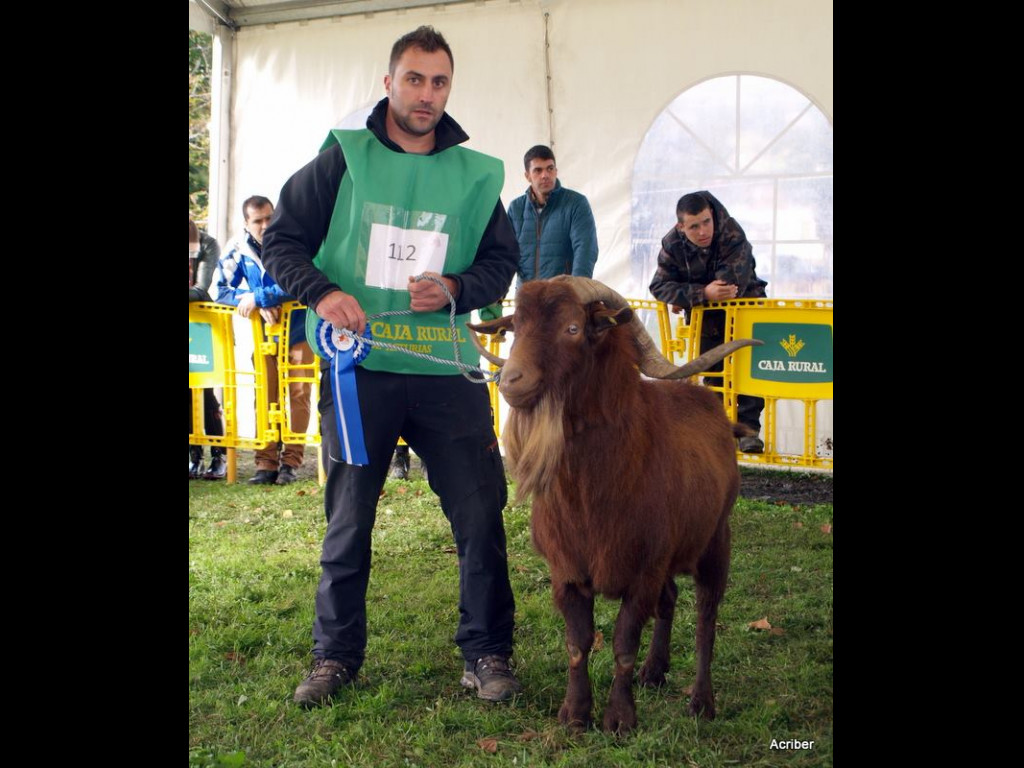 Subcampeón Nacional APOLO (José Manuel Vallina Valdés)