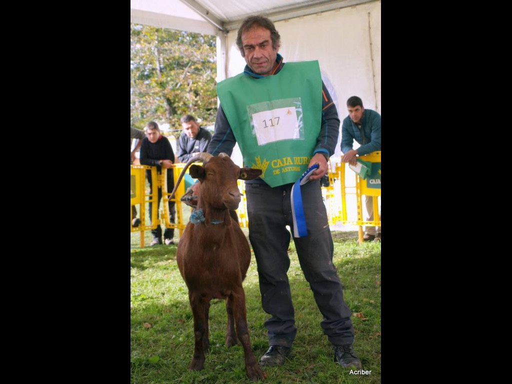 Subcampeona Nacional (Rubén Alvarez)
