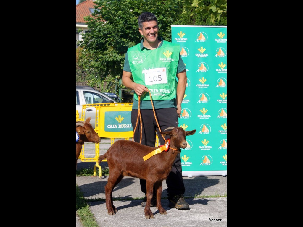 Sección 1ª Cabritas - 1º puesto Clarina de la Boquetina (Inmaculada Pérez)