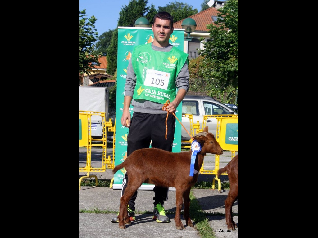 Seccion 1ª Cabritas - 2º puesto Sandrina de la Boquetina (Inmaculada Pérez)