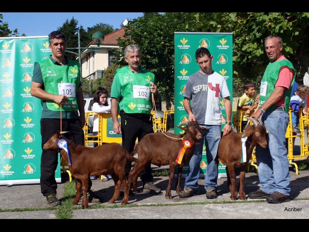 Sección 2ª Cabritos - Finalistas