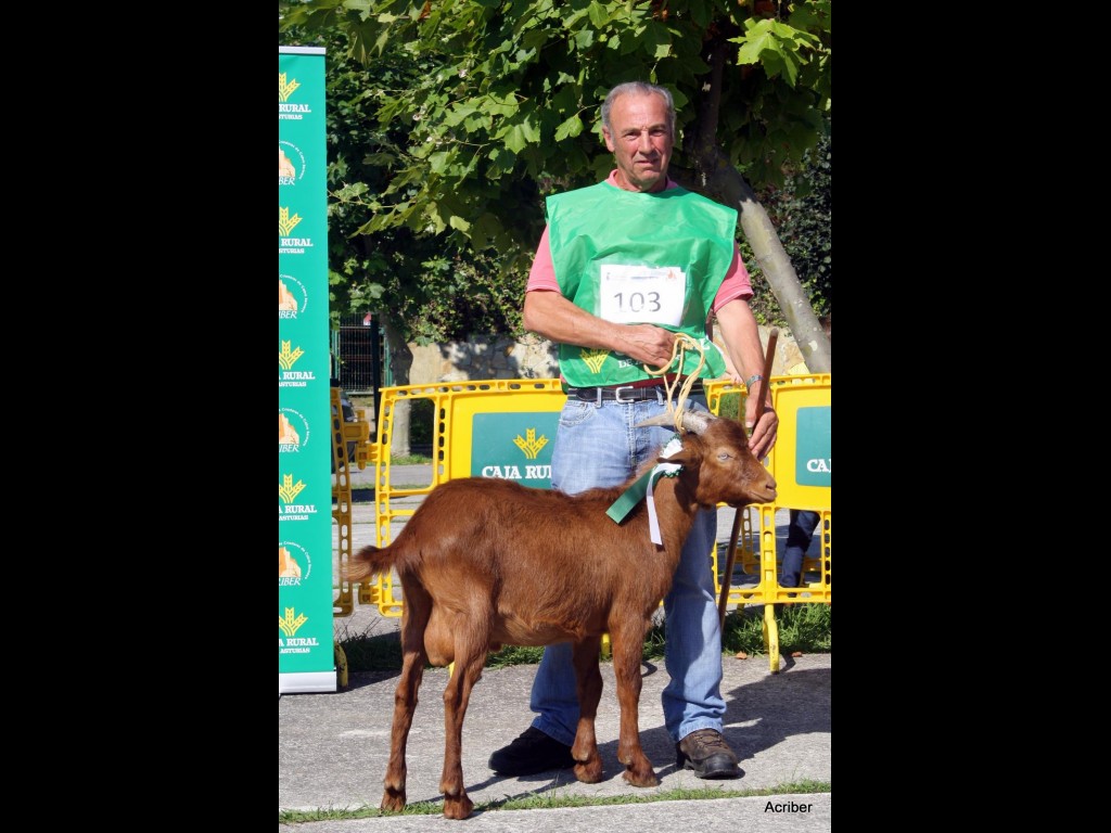 Seccion 2ª Cabritos - 3º puesto Sandungo (Cesaria Hevia)