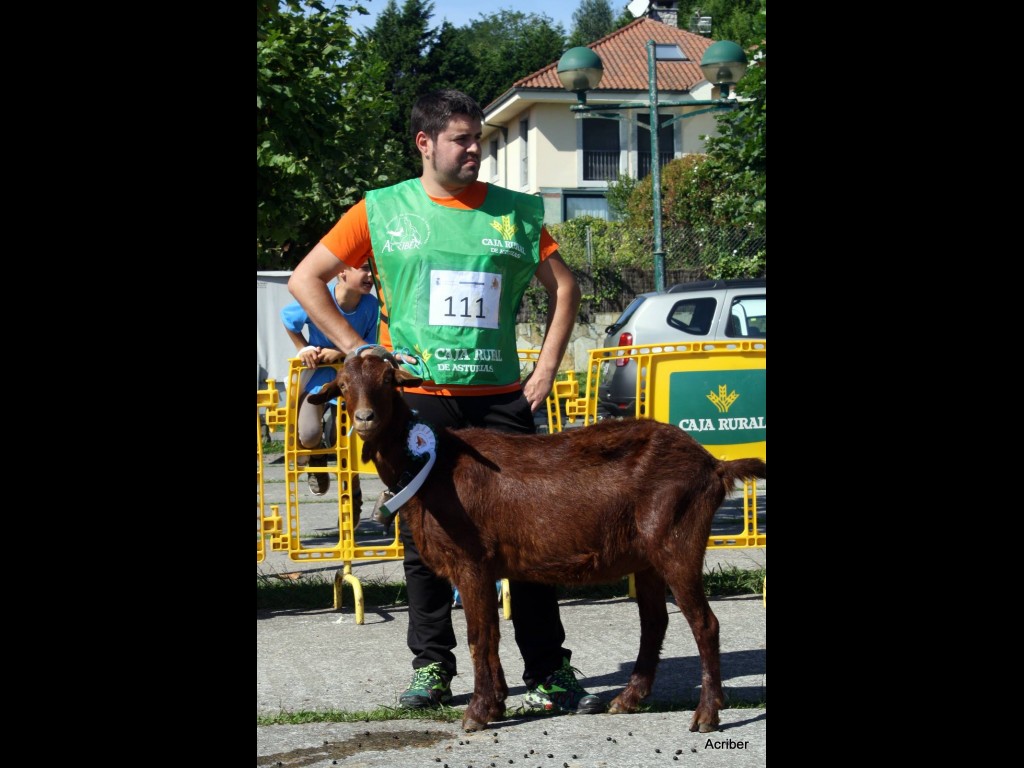 Sección 5ª Cabras - 3º puesto Valentina (Casa Pepón)