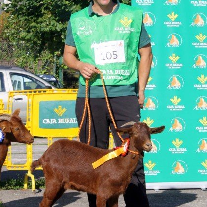 Sección 1ª Cabritas - 1º puesto Clarina de la Boquetina (Inmaculada Pérez)