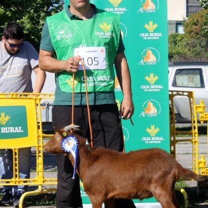 Seccion 2ª Cabritos - 2º puesto Nenu de la Boquetina (Inmaculada Pérez)