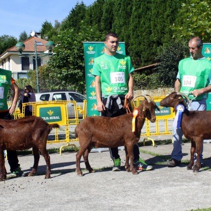Sección 5ª Cabras - Finalistas