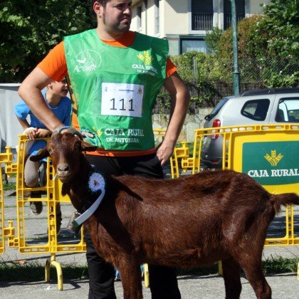 Sección 5ª Cabras - 3º puesto Valentina (Casa Pepón)